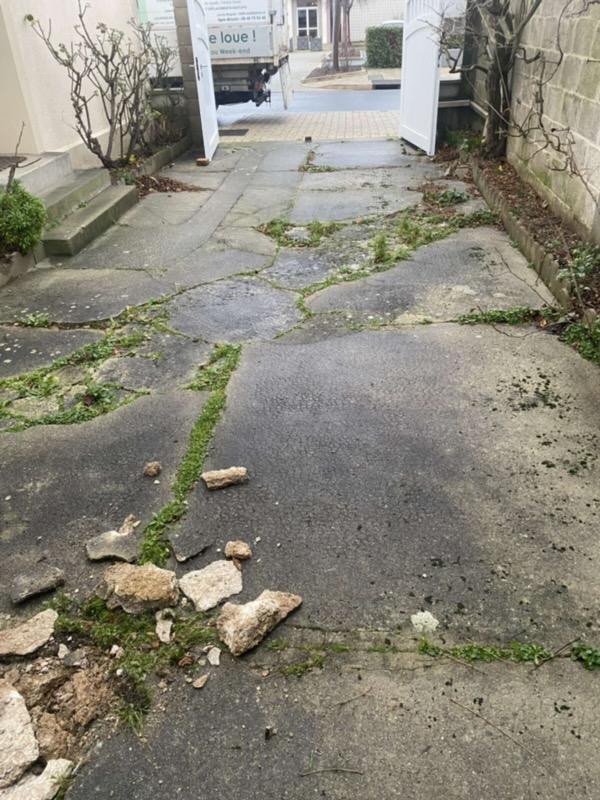 Terrassement avant travaux - terrain non préparé Côte Normande